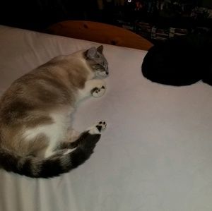 Meet your Posher, Annette